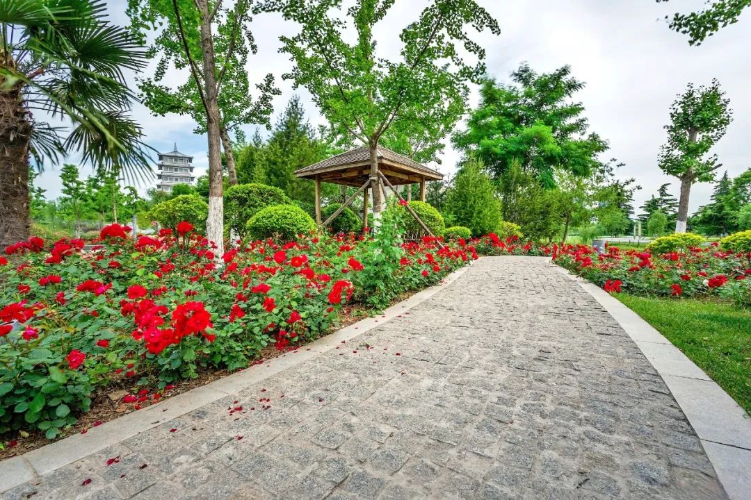 1753683102271315.jpg 微信图片_20250728140757.jpg